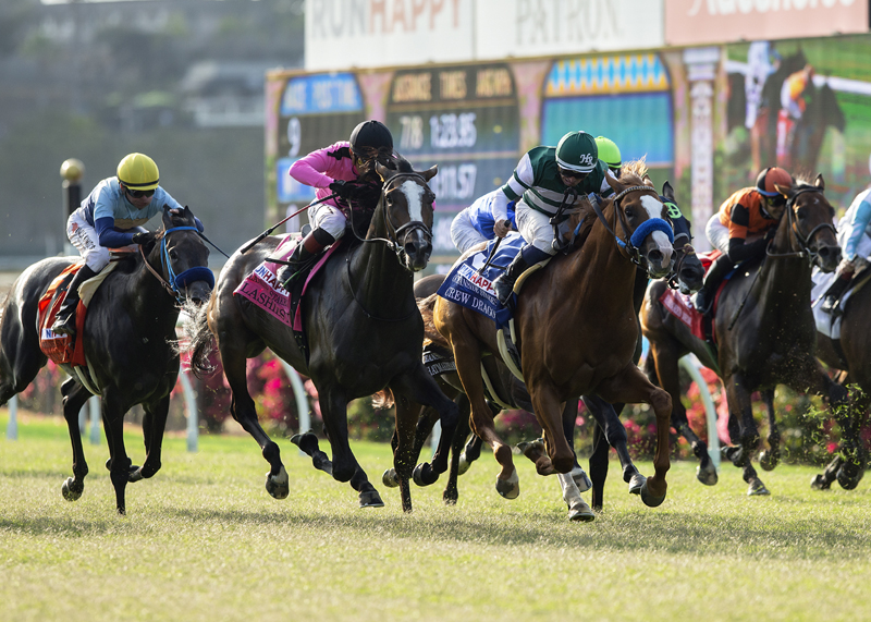 Del Mar's 2022 Stakes Schedule Most Lucrative in Track History